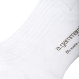 Blanc - Fil d'Écosse