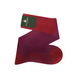 Red Carmine & Royal Blue - Birdseye - Cotton Lisle