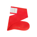 Red - Merino Wool