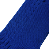 Azul real - Super-Resistente Hilo de Escocia