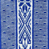 Norvégienne bleu