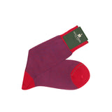 Carmine & Royal Blue - Birdseye - Cotton Lisle