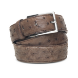 Brown - Silver Buckle - Ostrich