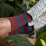 Rojo y azul - Hiedra - Algodón